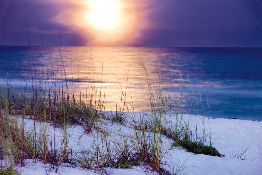 Pensacola Moonrise art print by Mike Jones for $57.95 CAD