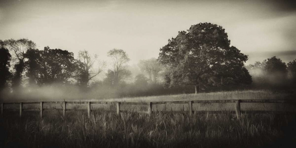 Foggy Day art print by Janel Pahl for $57.95 CAD