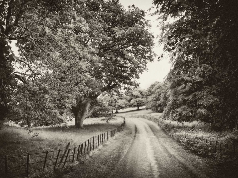 Country Roads art print by Janel Pahl for $57.95 CAD