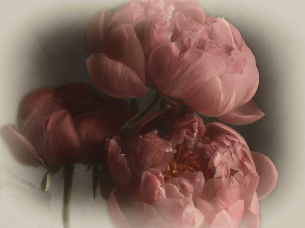 Heavenly art print by Janel Pahl for $57.95 CAD