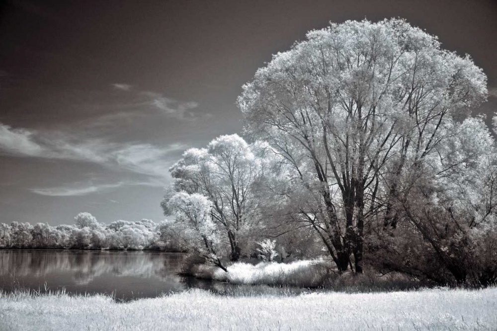 And Quiet art print by Ily Szilagyi for $57.95 CAD