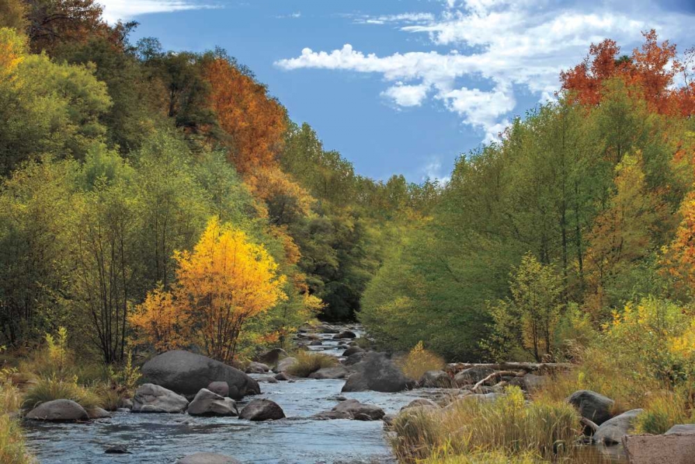 Near Perfect Day art print by Mike Jones for $57.95 CAD