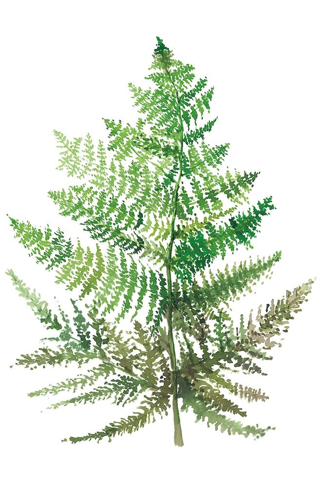 Wild Greens I art print by Rebecca Meyers for $57.95 CAD