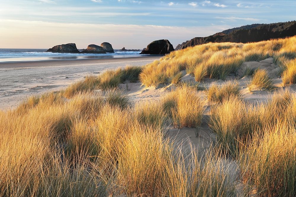 Dune Grass and Beach art print by Dennis Frates for $57.95 CAD
