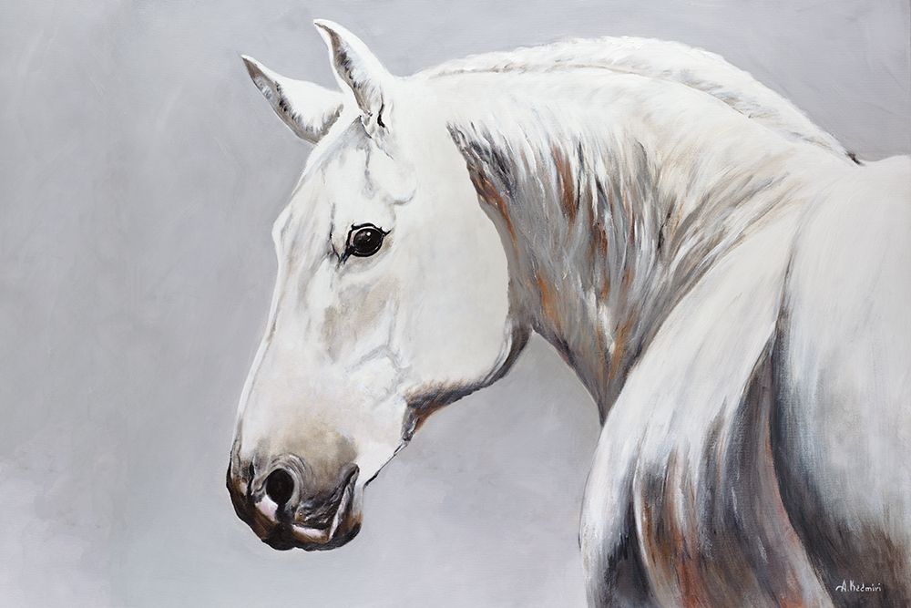 Cheval Blanc art print by Aziz Kadmiri for $57.95 CAD