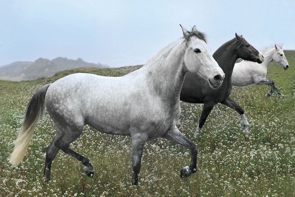 Perfect Pasture art print by Jorge Llovet for $57.95 CAD