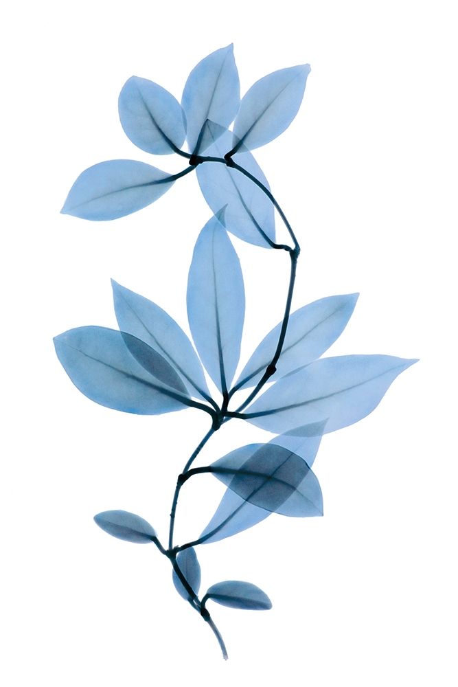 Get Growing II art print by ACEE for $57.95 CAD
