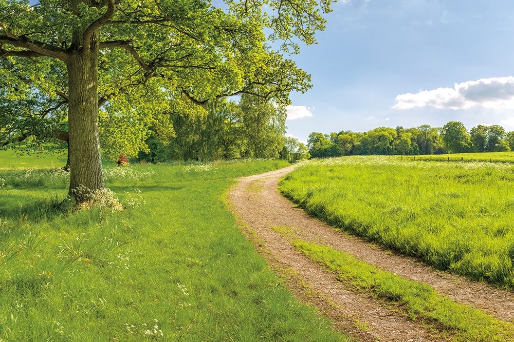 Greenest Pastures art print by Assaf Frank for $57.95 CAD