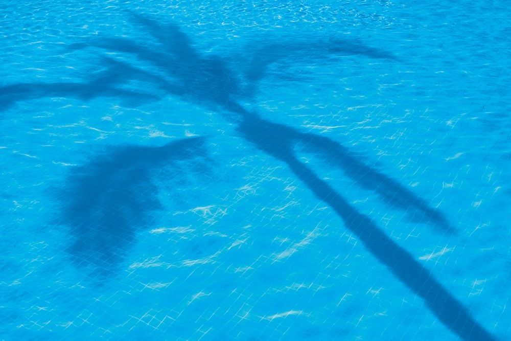 Vacationing II art print by Dennis Frates for $57.95 CAD
