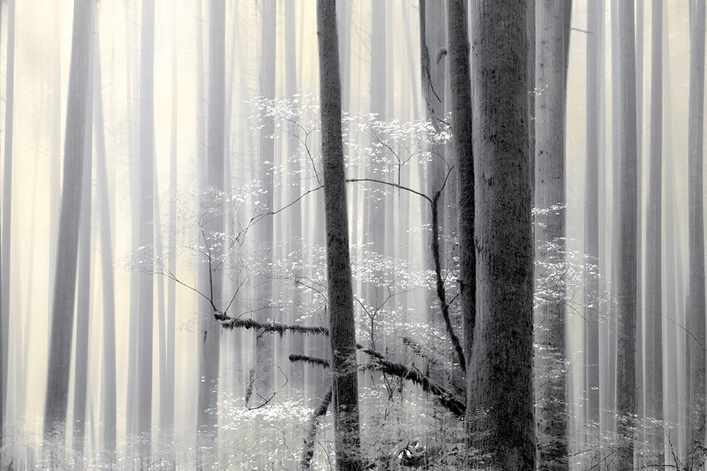 Still Silence art print by Marvin Pelkey for $57.95 CAD