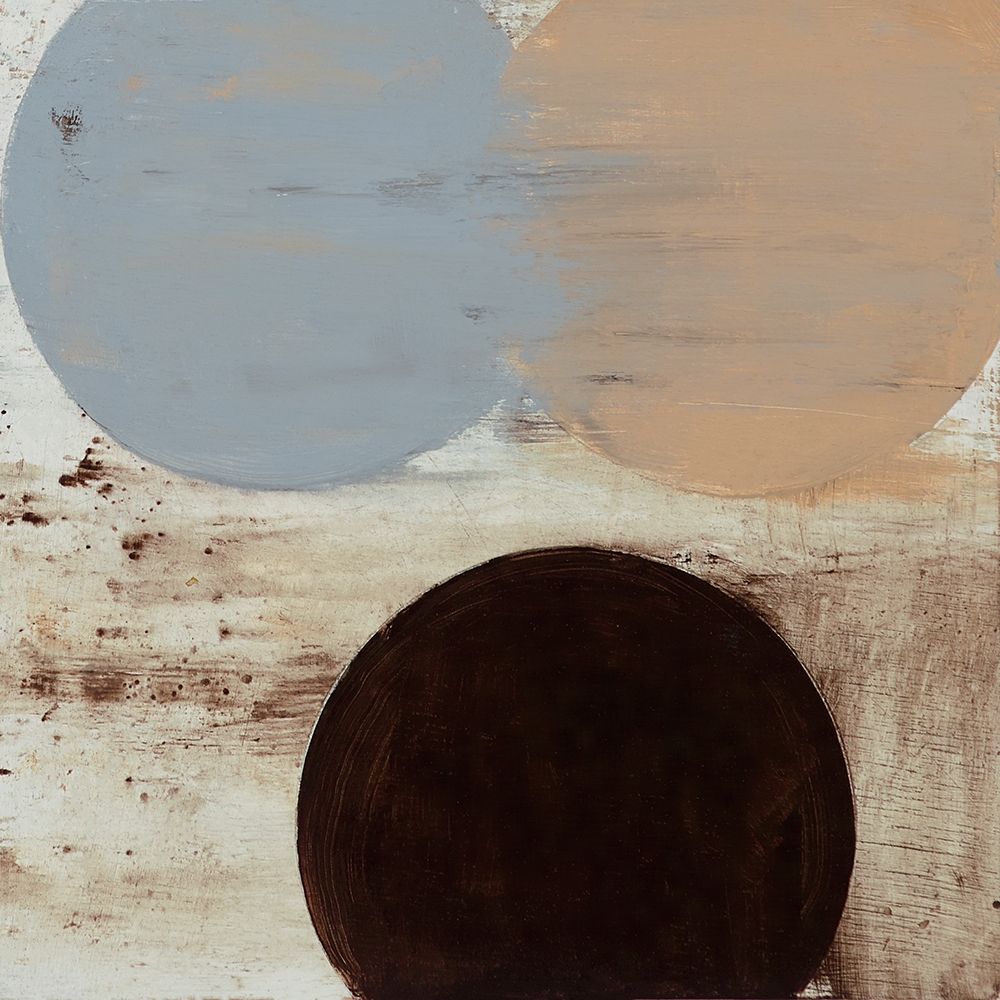 Terra Circles IV art print by David Skinner for $57.95 CAD