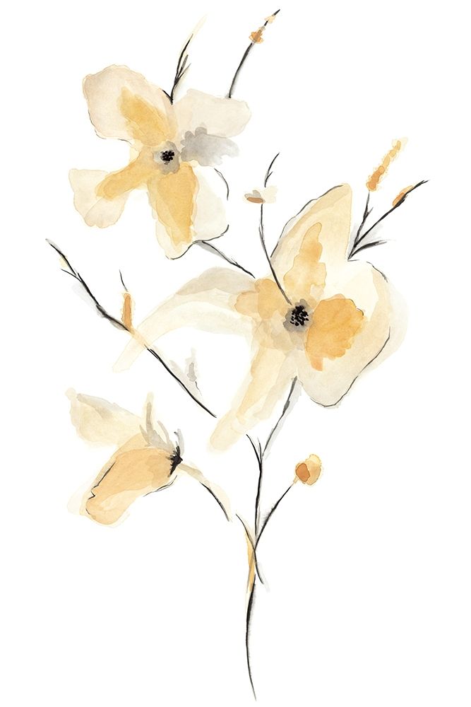 Morning Glory I art print by Corrie Golden for $57.95 CAD