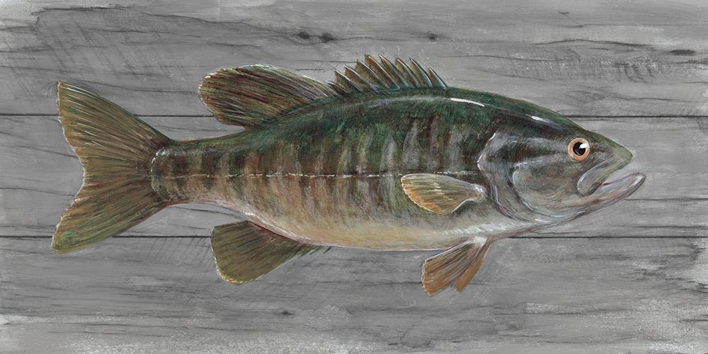 Clear Water Beauty art print by Arnie Fisk for $57.95 CAD