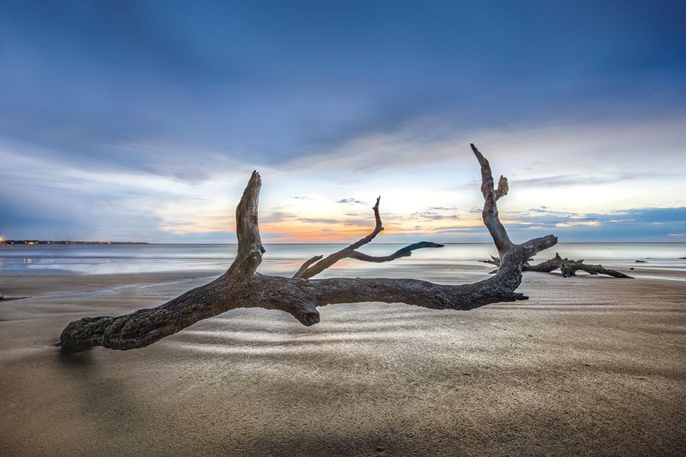 Bones Beach art print by Celebrate Life Gallery for $57.95 CAD
