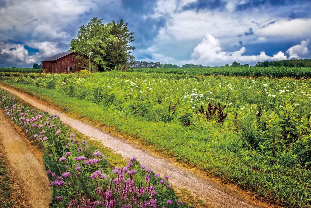 Family Farm art print by Celebrate Life Gallery for $57.95 CAD