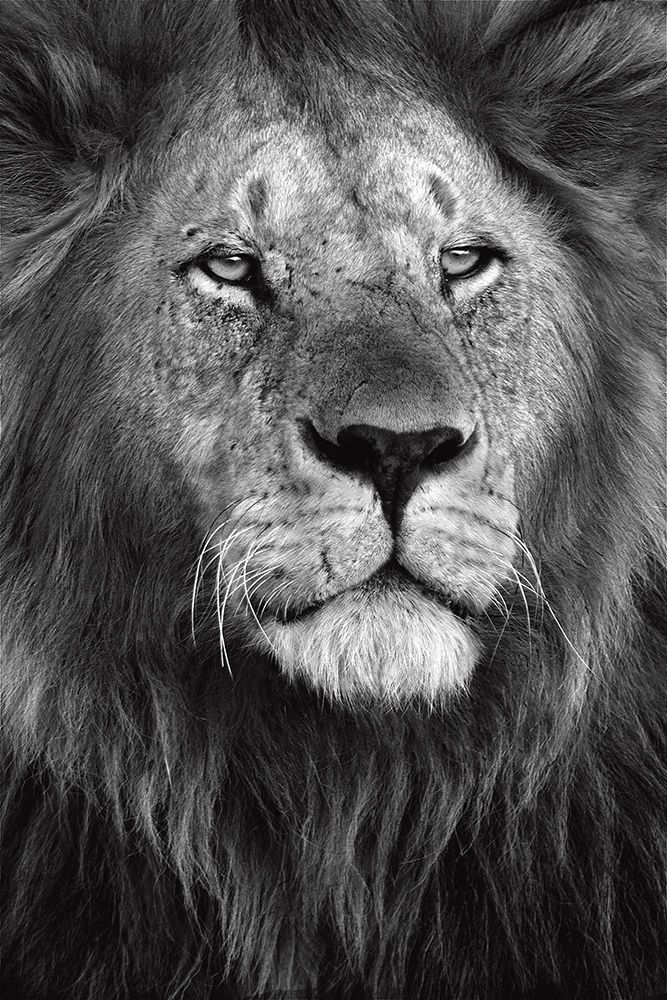 Pride art print by Xavier Ortega for $57.95 CAD