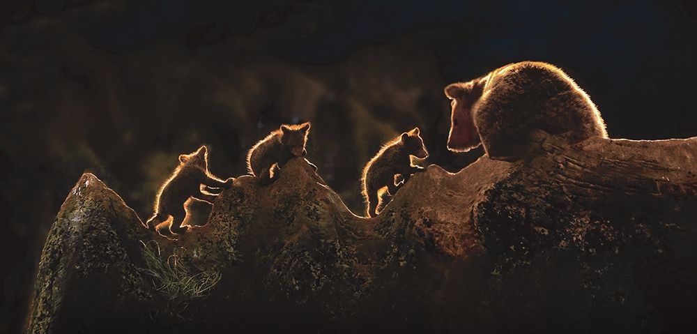 Triplets art print by Xavier Ortega for $57.95 CAD