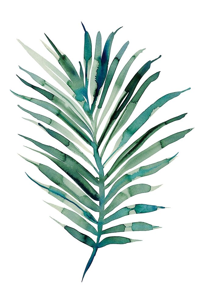 Areca art print by Marina Billinghurst for $57.95 CAD