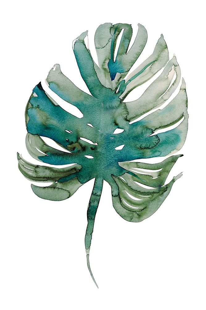 Monstera art print by Marina Billinghurst for $57.95 CAD