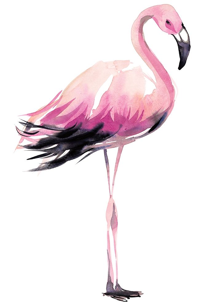 Flamingo art print by Marina Billinghurst for $57.95 CAD