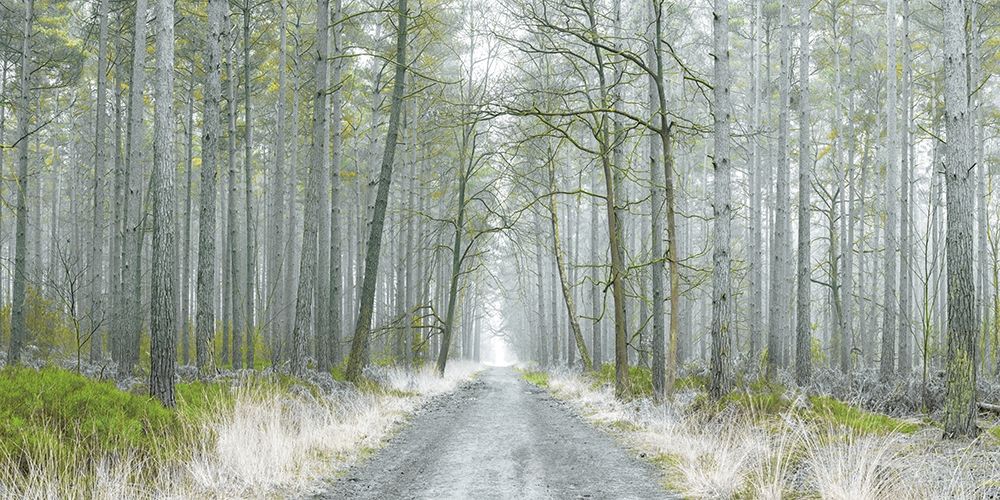 Going Places art print by Assaf Frank for $57.95 CAD