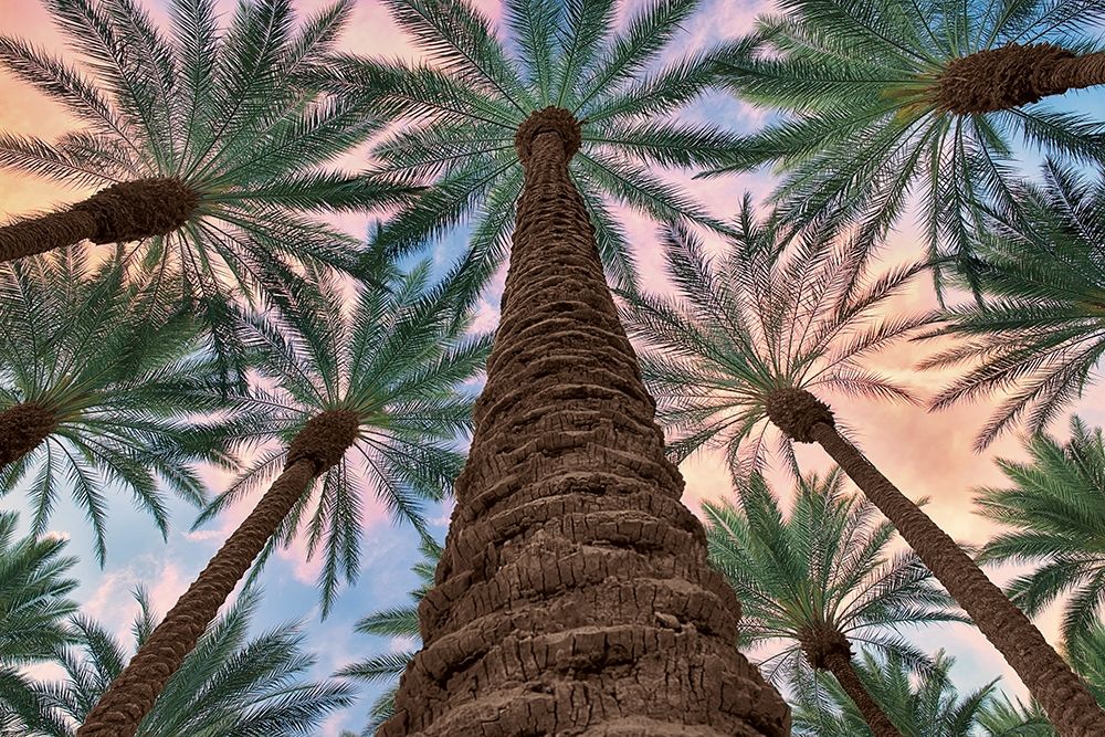 Tropical Views art print by Dennis Frates for $57.95 CAD