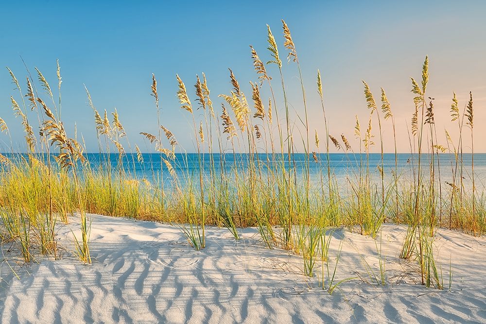 I Love the Beach art print by Dennis Frates for $57.95 CAD