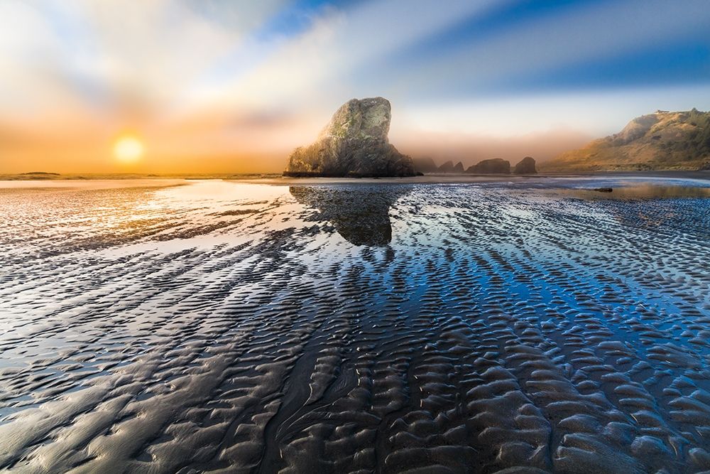 Light in the Dark art print by Celebrate Life Gallery for $57.95 CAD