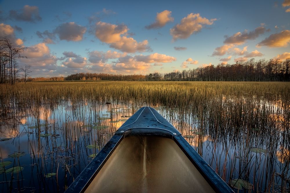 Canoeing on the River art print by Celebrate Life Gallery for $57.95 CAD