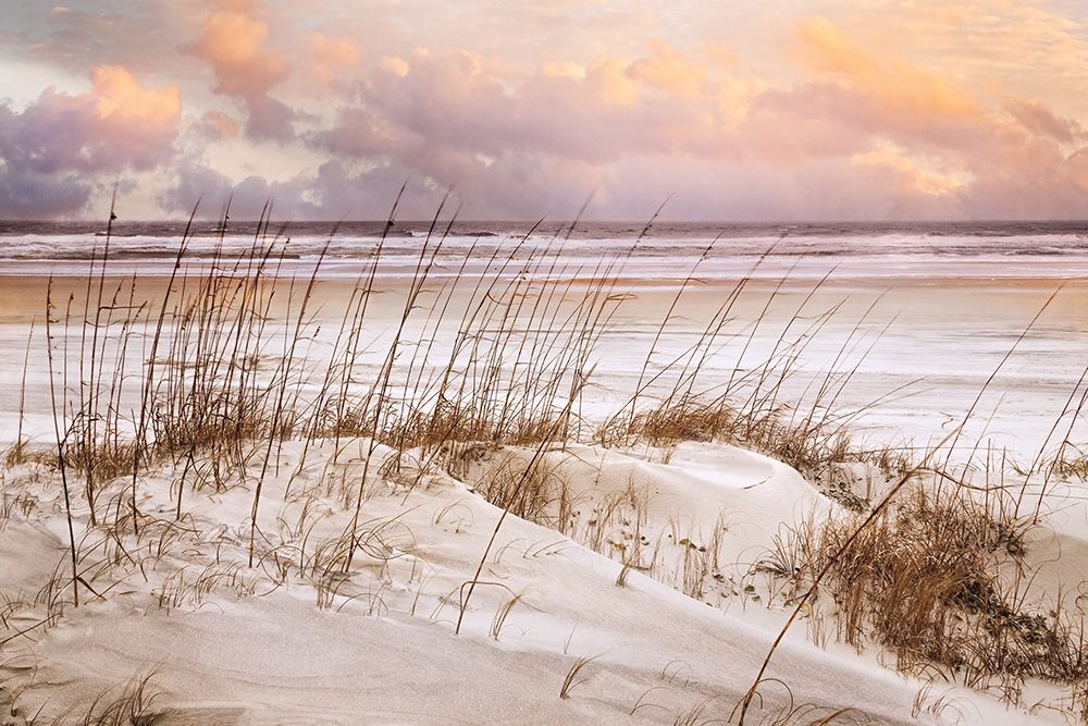 Whispers In the Dunes art print by Celebrate Life Gallery for $57.95 CAD