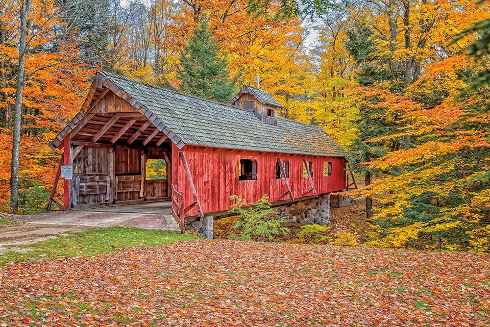 Loon Song Covered Bridge art print by Gail Howarth for $57.95 CAD