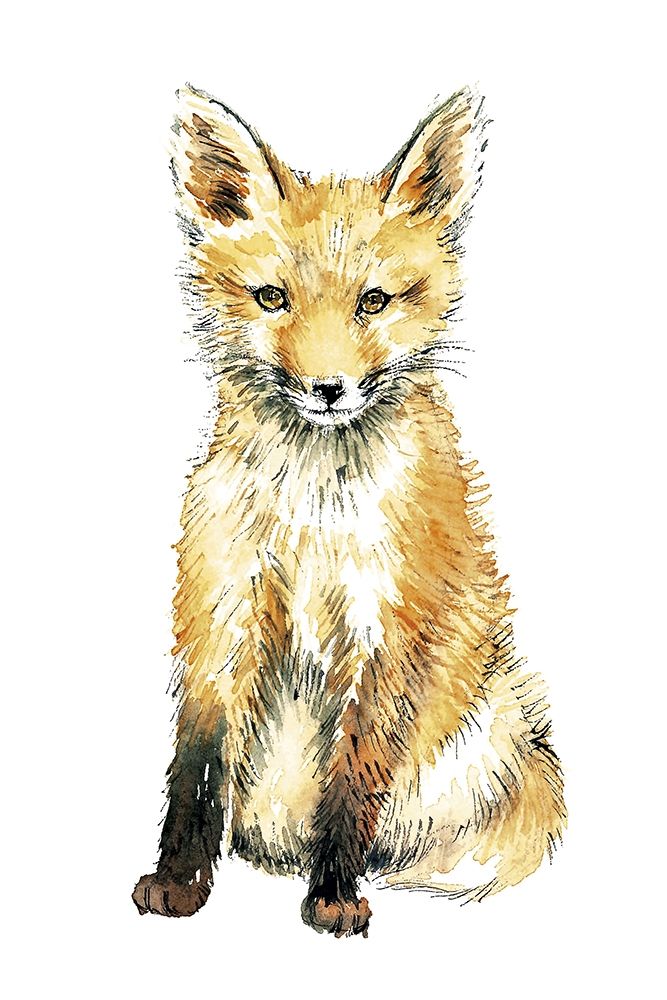 Baby Fox art print by Elena Markelova for $57.95 CAD