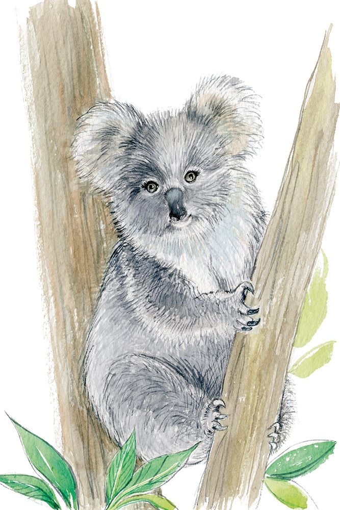 Baby Koala art print by Elena Markelova for $57.95 CAD