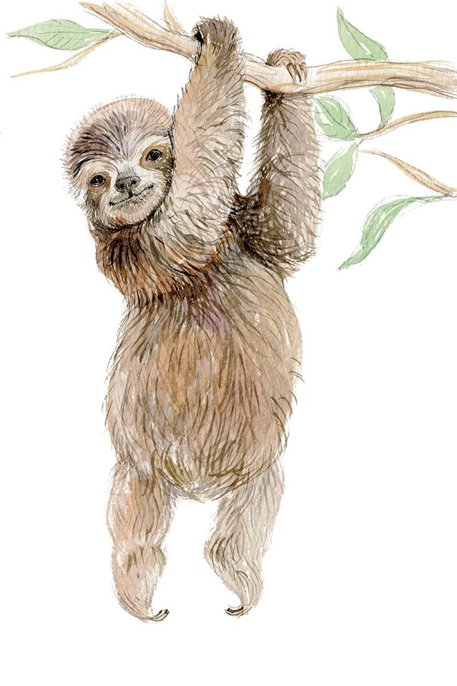 Baby Sloth art print by Elena Markelova for $57.95 CAD