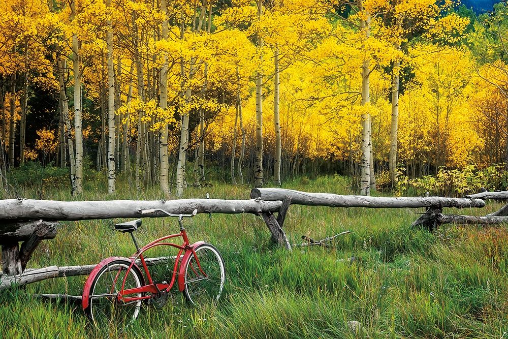Red Cruiser art print by Ken Smith for $57.95 CAD