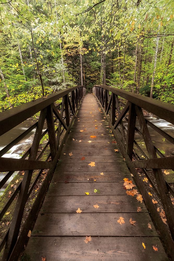 Autumns Bridge art print by D. Burt for $57.95 CAD