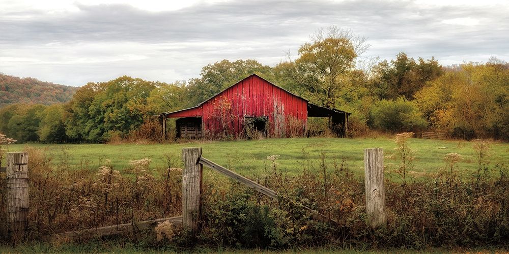 Down On The Farm art print by D. Burt for $57.95 CAD