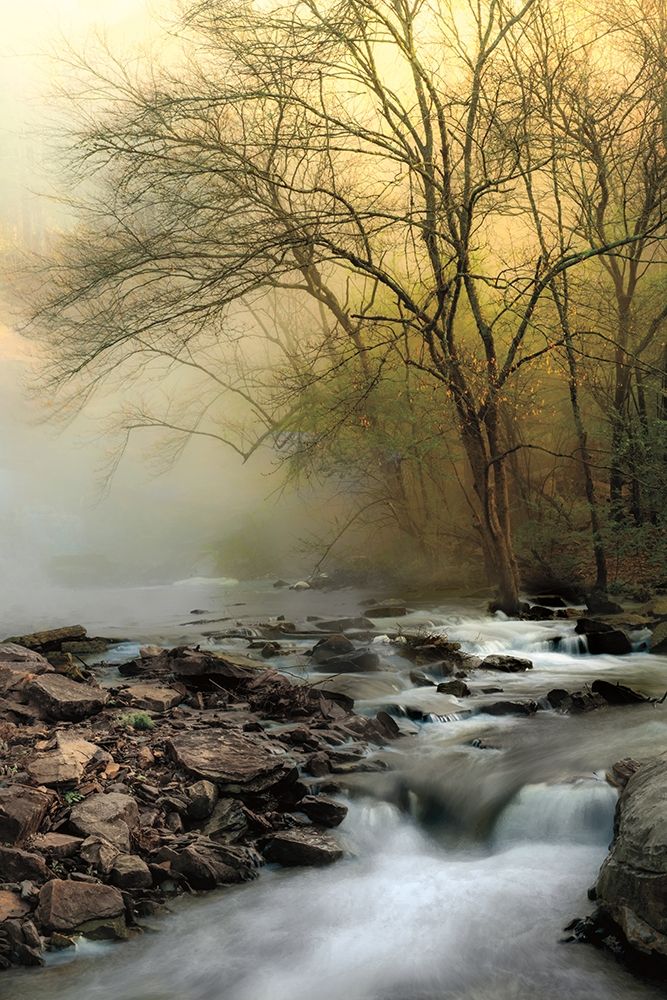 One Spring Morning art print by D. Burt for $57.95 CAD