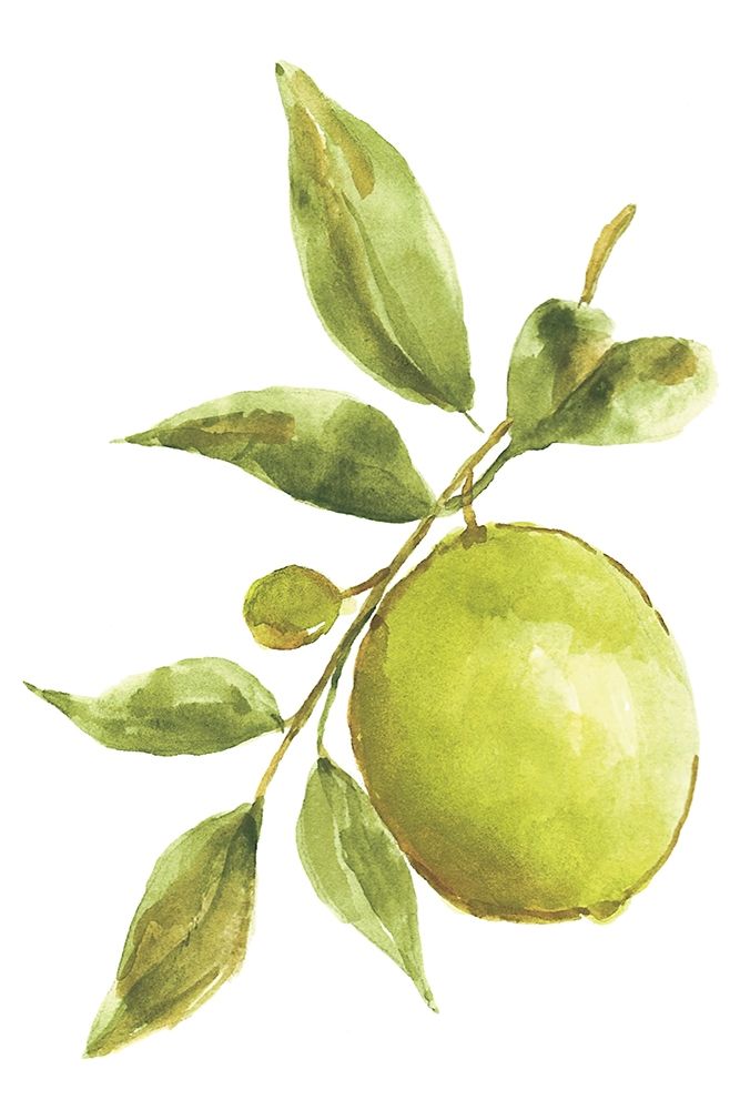 Farmhouse Kitchen II art print by Yvette St. Amant for $57.95 CAD