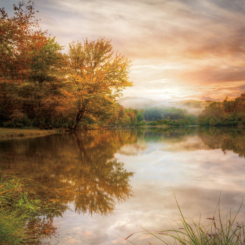 Fallen Leaves art print by Celebrate Life Gallery for $57.95 CAD