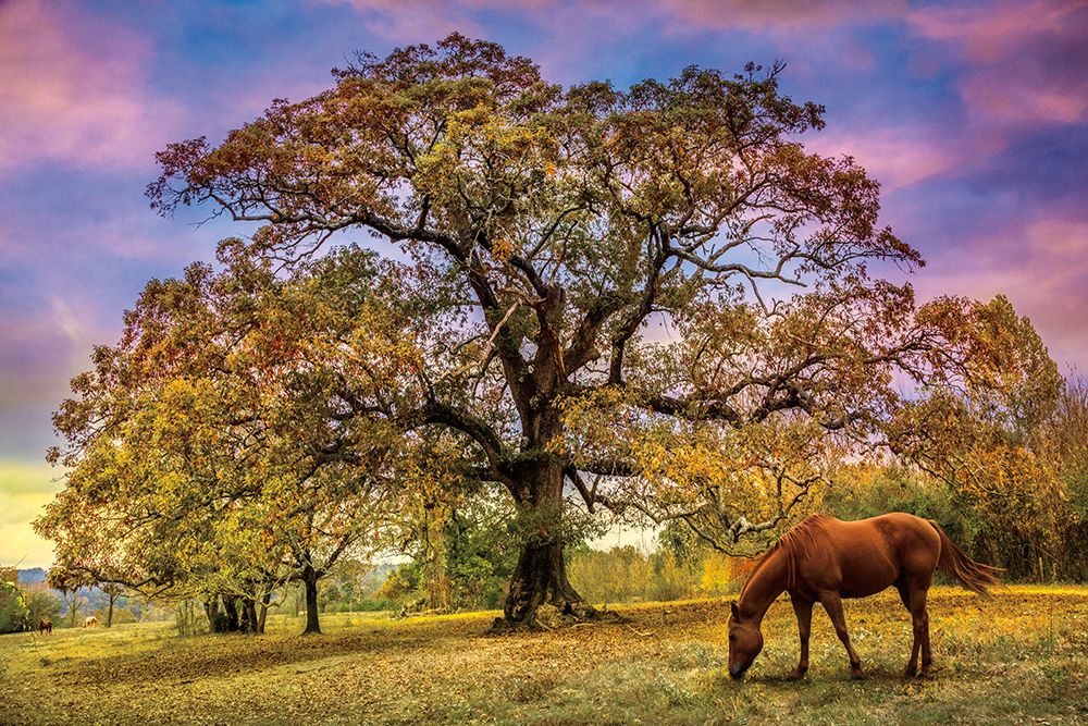Under The Old Oak Tree art print by Celebrate Life Gallery for $57.95 CAD