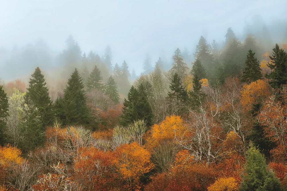 Autumn Mountain art print by D. Burt for $57.95 CAD