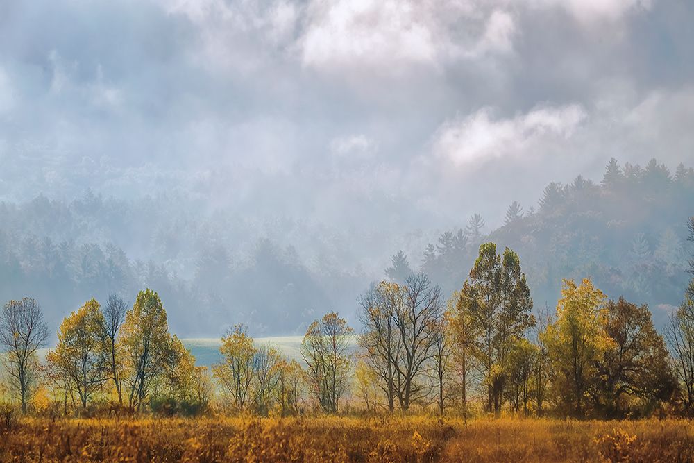 Lifting Fog art print by D. Burt for $57.95 CAD