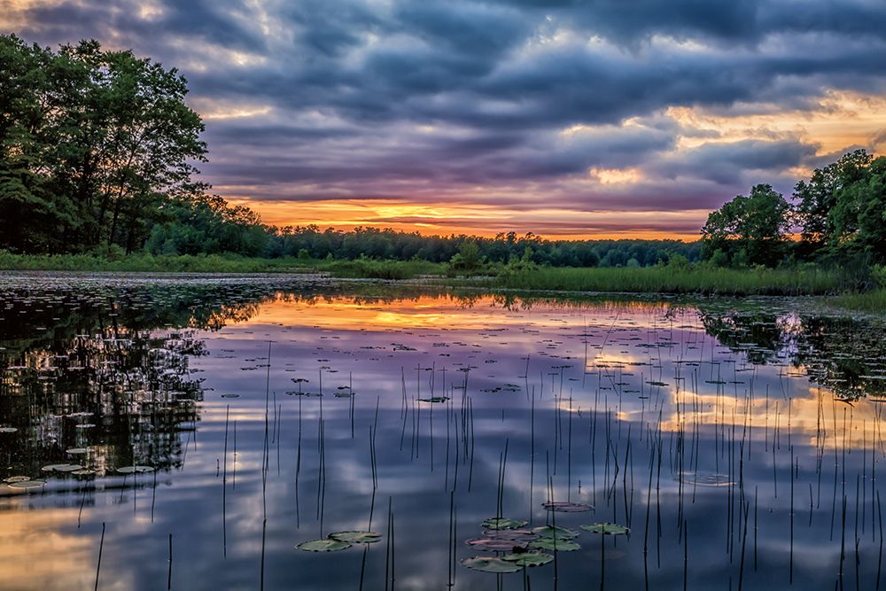 Sunset Reflections art print by Gail Howarth for $57.95 CAD