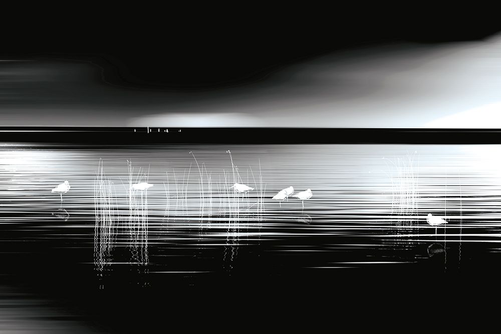 First Light art print by Marvin Pelkey for $57.95 CAD