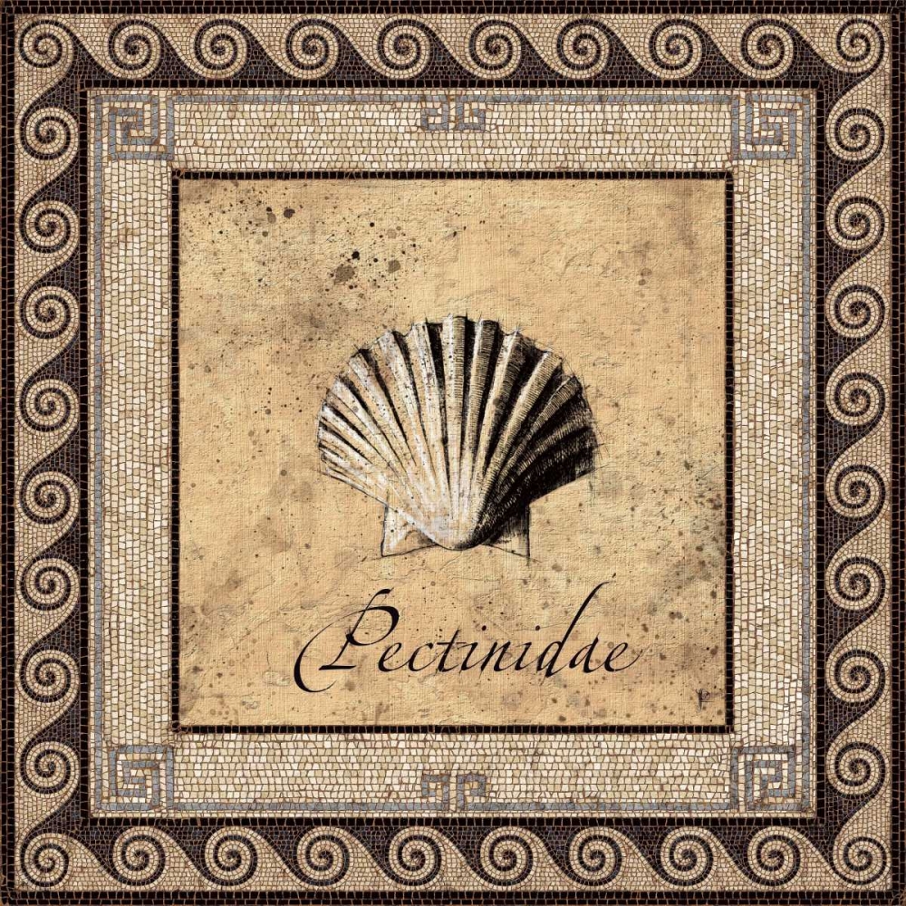 Shell Works II art print by Paul Panossian for $57.95 CAD