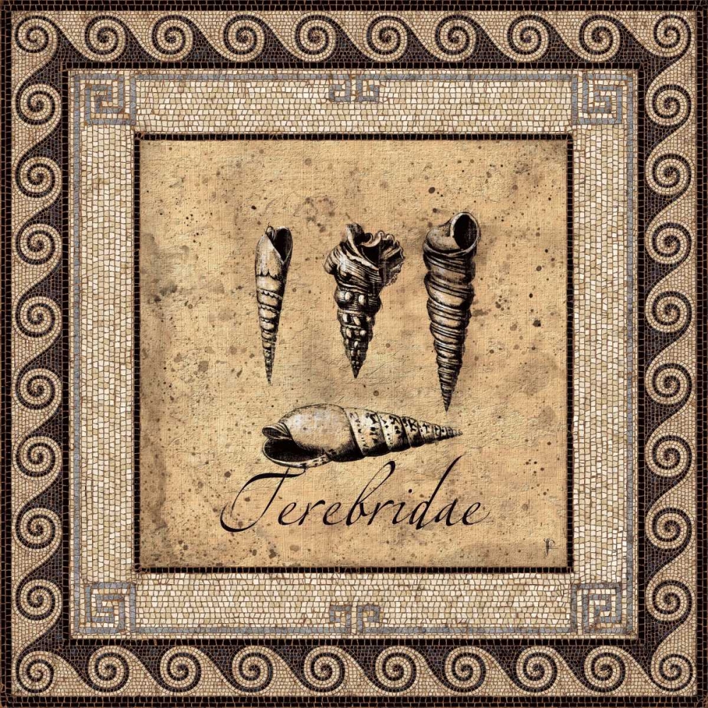 Shell Works IV art print by Paul Panossian for $57.95 CAD