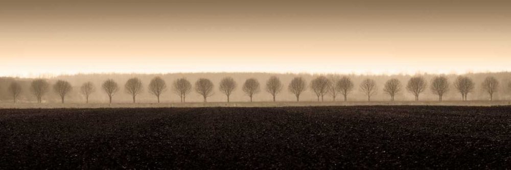 Dappled Morning Fields art print by Heather Ross for $57.95 CAD