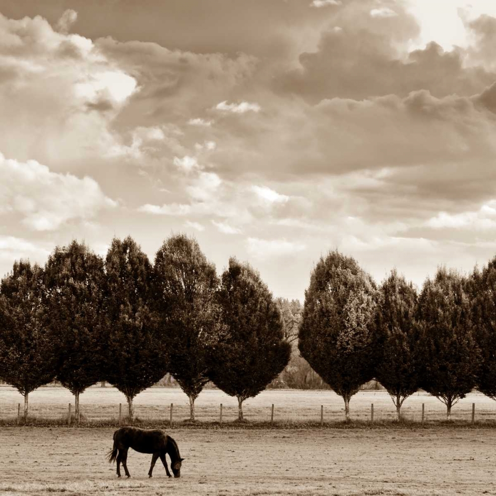 Grazing art print by Heather Ross for $57.95 CAD