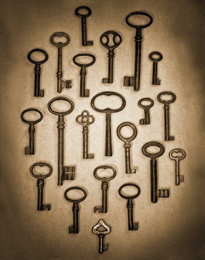 Key Elements II art print by Heather Ross for $57.95 CAD